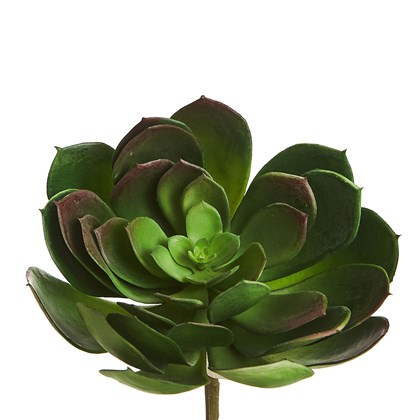 Cacto Flor de Pedra 13cm 0931 - Verde