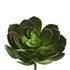 Cacto Flor de Pedra 13cm 0931 - Verde