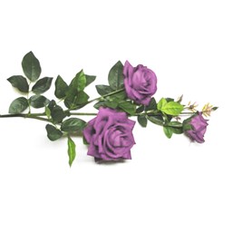 Haste Rosa 3 Flores 95cm 2107 - Lilás