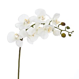 Orquídea x7 Cabeças Toque Real 67cm 74BR